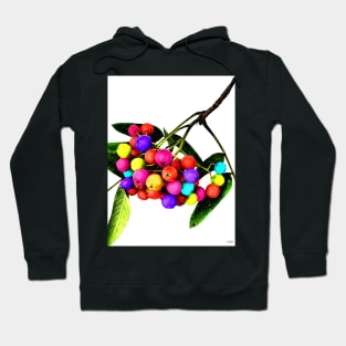 Rowan Berries Hoodie